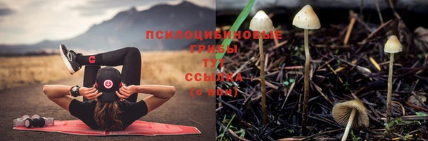 мдма Киреевск