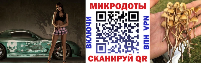где найти наркотики Ильский Галлюциногенные грибы Magic Shrooms
