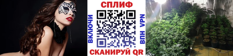 Шишки марихуана марихуана  цены   Ильский 